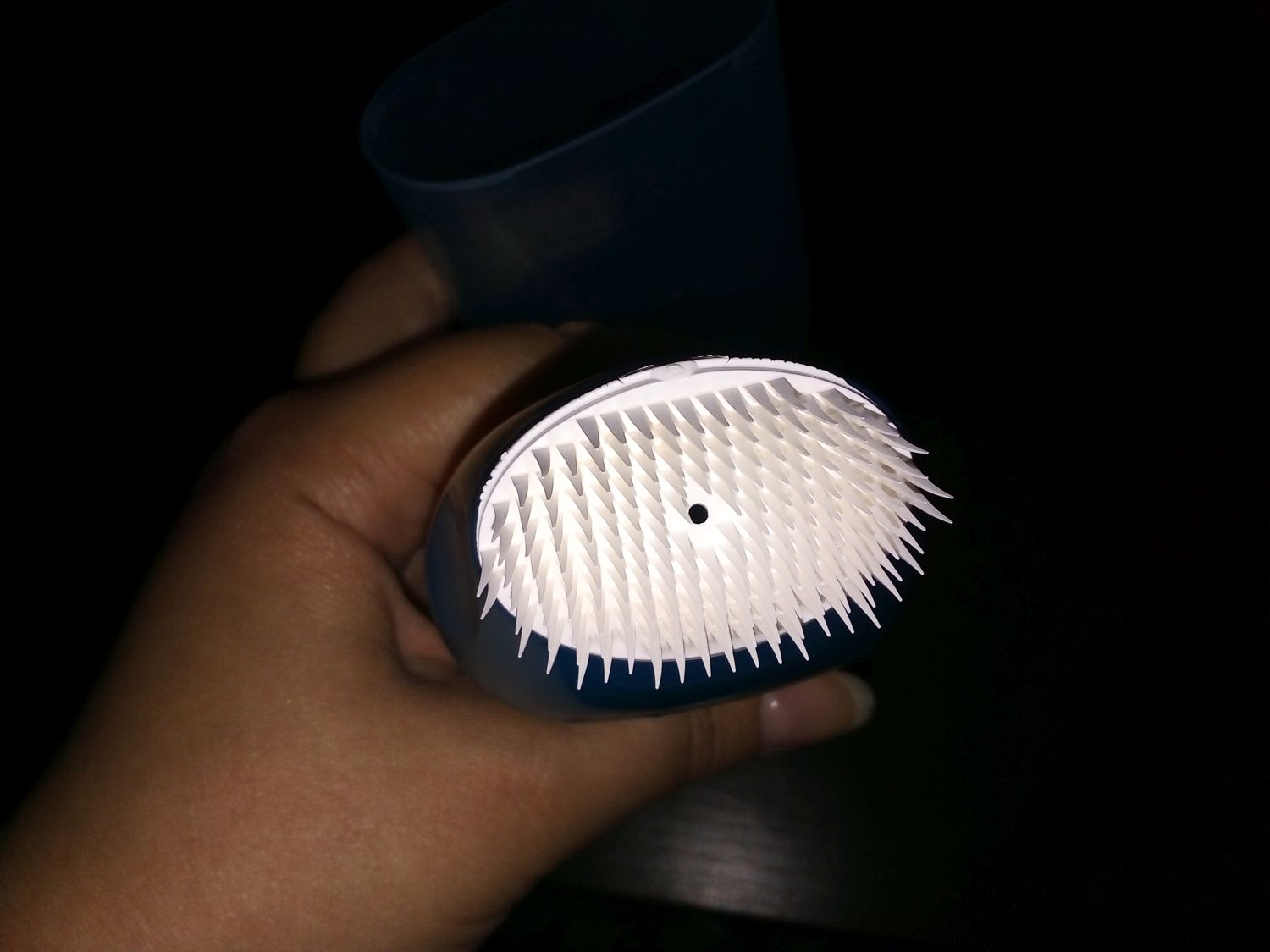 garnier pure active exfoliating face brush